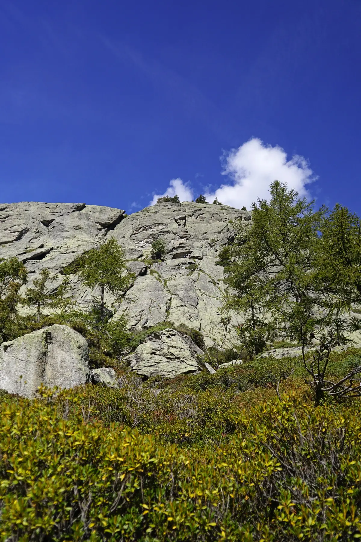 climbers