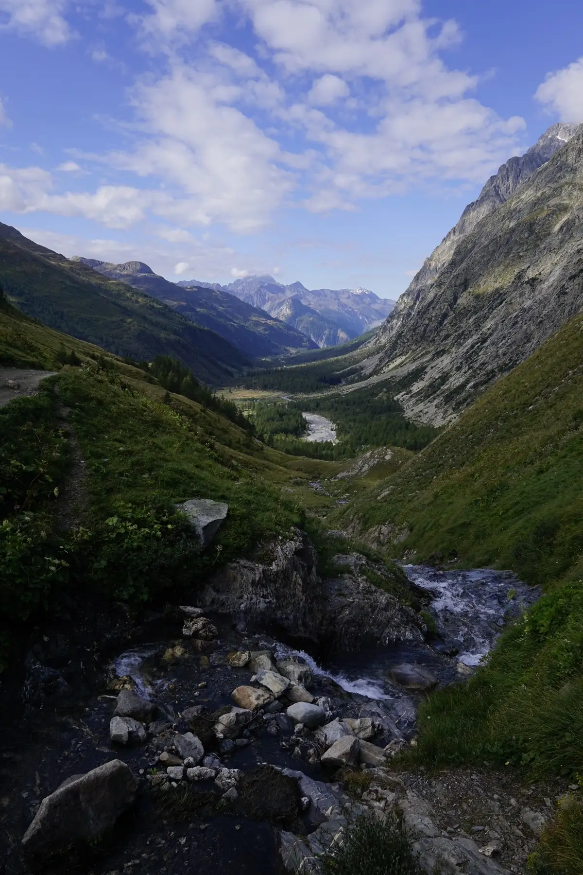 val ferret